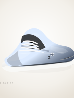 Zensible Cloud Walk